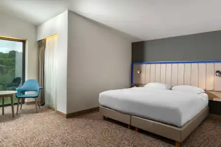Park Inn by Radisson Istanbul Airport, Odayeri - 31