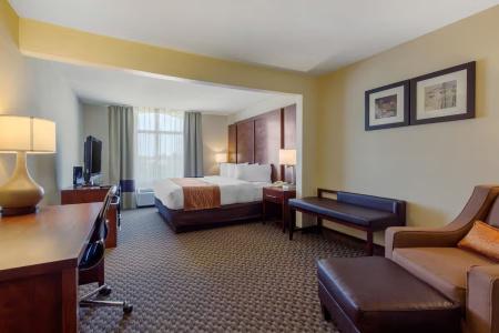 Comfort Inn & Suites SW Houston Sugarland - 38