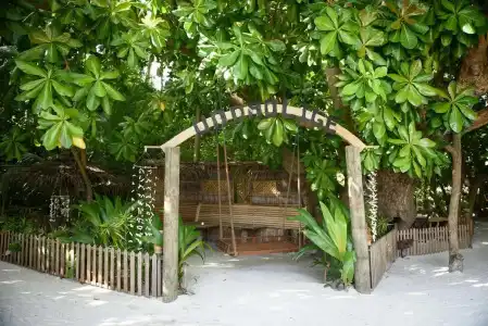 Biyadhoo Island Resort - 16