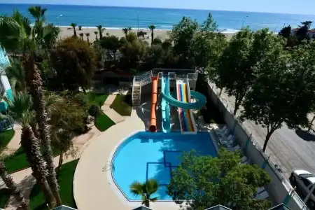 Ananas - 9
