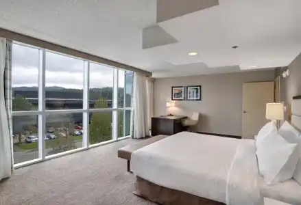 Embassy Suites by Hilton Seattle Bellevue - 47