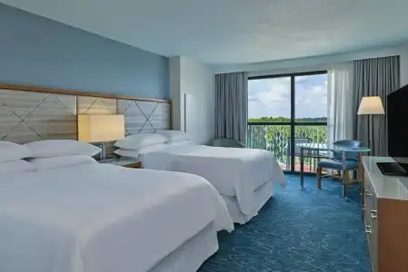 Walt Disney World Dolphin - 75