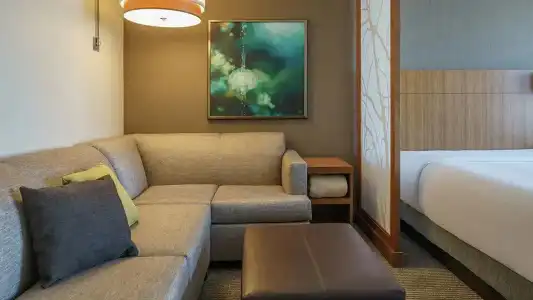 Hyatt Place Houston/Galleria - 47