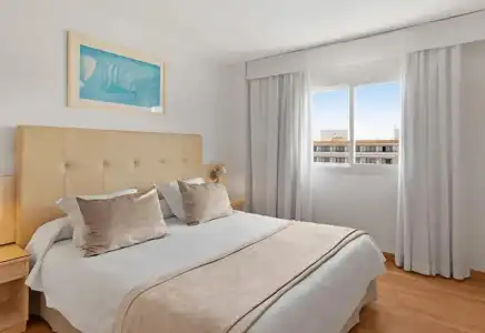 VIVA Sunrise - 50