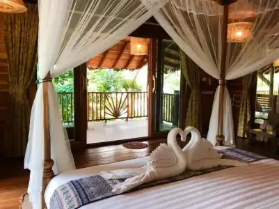 Viking Nature Resort - 2