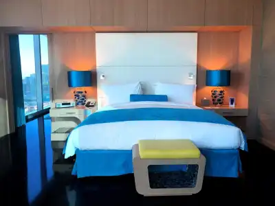 Sofitel Dubai Downtown - 68