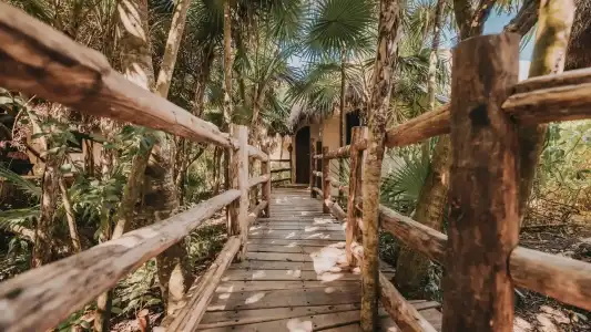 Papaya Playa Project, Tulum, a Member of Designs - 59