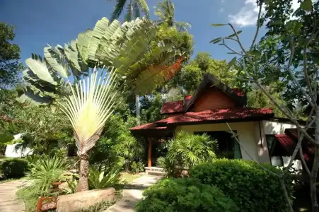 Sand Sea Resort - 74