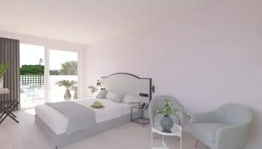 Vibra Palma Cactus - 2