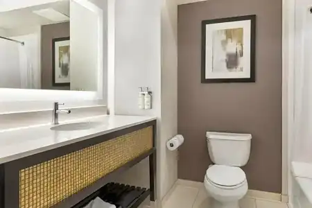Holiday Inn Express & Suites Anaheim Resort Area by IHG - 50