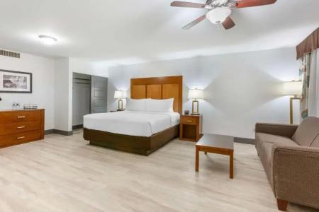 Best Western Plus El Paso Airport & Conference Center - 3