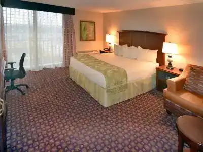 Rosen Inn at Pointe - 56