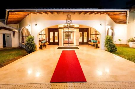 The Olive Tree - 21