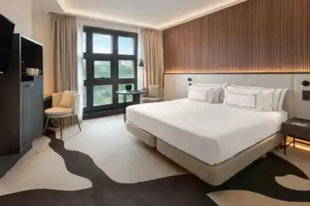 Melia Bilbao - 45