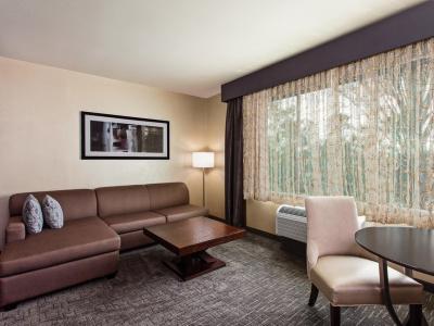 Holiday Inn Express & Suites Anaheim Resort Area by IHG - 55