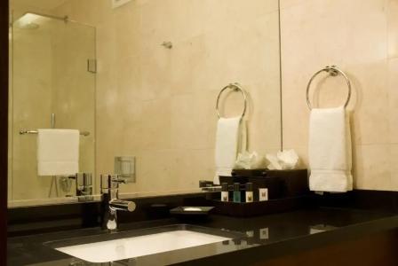 Millennium Knickerbocker Chicago - 15