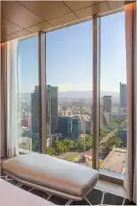 Sofitel Mexico City Reforma - 87
