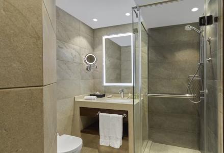 Ramses Hilton - 103