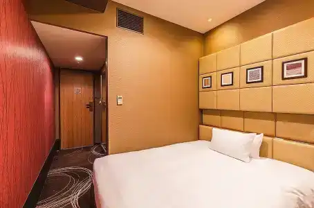 Sotetsu Fresa Inn Higashi Shinjuku - 42