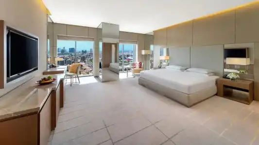 Hyatt Regency Dubai Creek Heights - 64