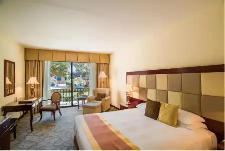 Grand Excelsior - 39