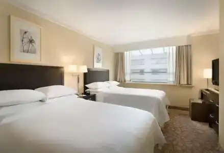 Embassy Suites Los Angeles - Glendale - 25