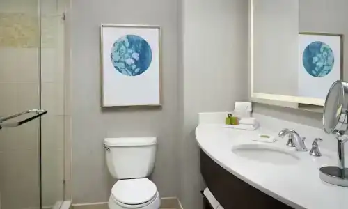 Signia by Hilton Orlando - An Official Walt Disney World - 25