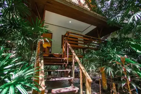 The Vatika Resort and Spa - 88