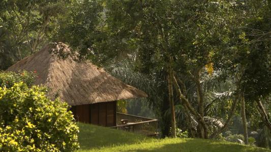 Alila Ubud - 25
