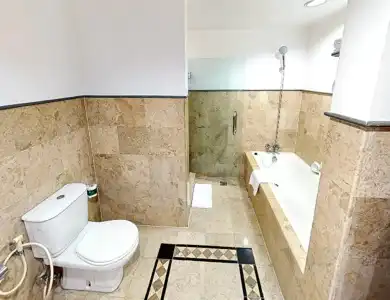 Millennium Sirih Jakarta - 37