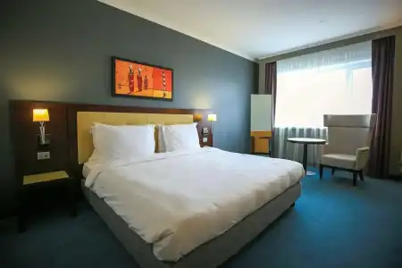 Radisson, Astana - 51