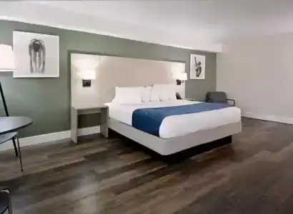 Wyndham I-Drive Avanti Resort & Conference Center - 56