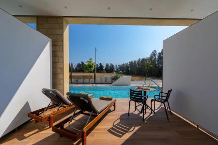 Aliathon Ionian - 45