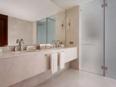 Swissôtel Wellness Resort Alatau - 69