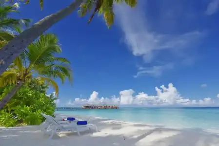 Angaga Island Resort and Spa - 15