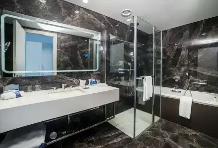 Radisson Blu, Kayseri - 79