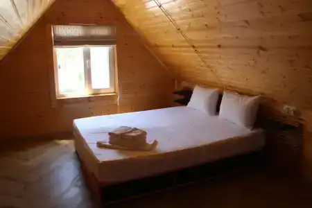 Pansionat DUBLIN-DOLPHIN - 131