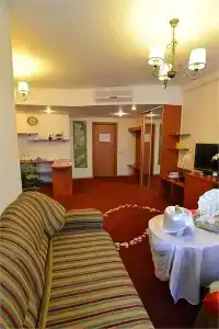 Tsentralny EuroHotel - 79