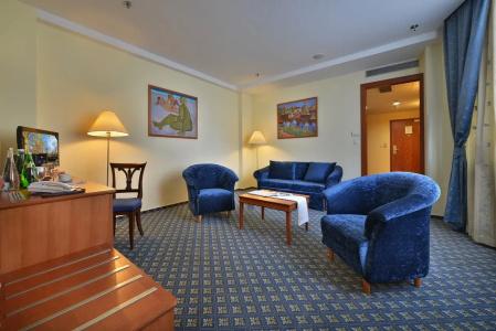 Ramada by Wyndham Prague City Centre - 40