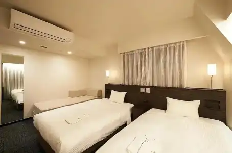 Sotetsu Fresa Inn Ochanomizu Jimbocho - 47