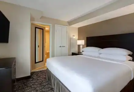 Hyatt Regency Niagara Falls Fallsview - 83