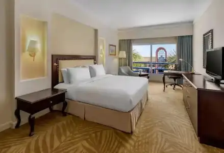 Hilton Alexandria Green Plaza - 52