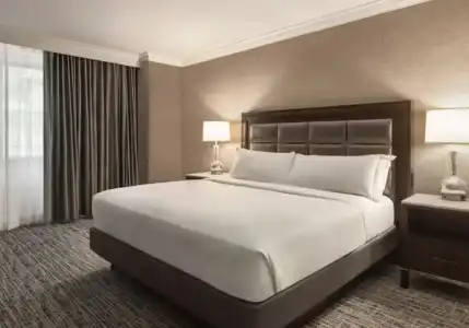 Hilton Tampa Downtown - 83