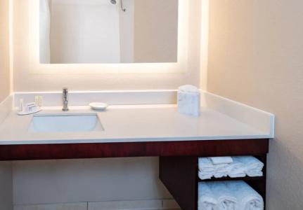 SpringHill Suites Houston Medical Center/NRG Park - 40