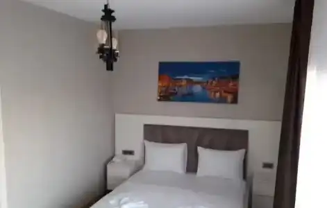 Leader Mansion & Suite - 28