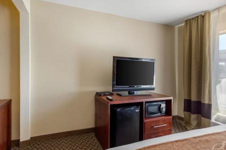 Comfort Inn & Suites SW Houston Sugarland - 44