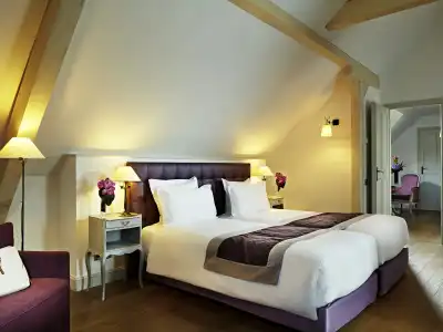 Cour du Corbeau Strasbourg - MGallery Collection - 61