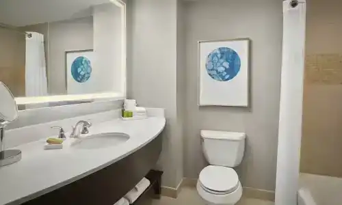 Signia by Hilton Orlando - An Official Walt Disney World - 14