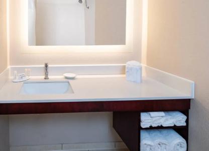 SpringHill Suites Houston Medical Center/NRG Park - 36