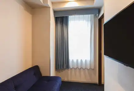 Sotetsu Fresa Inn Tokyo-Akasaka - 47